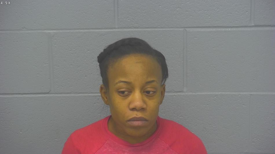 Arrest photo of BRITTNEY  WILSON 